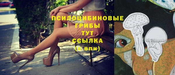 скорость Абаза