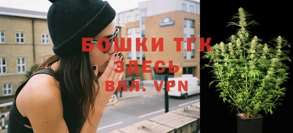 прущая мука Няндома