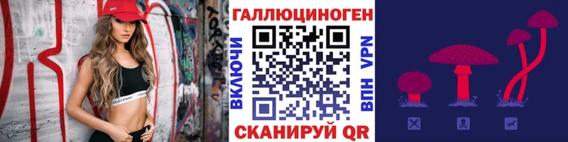 Галлюциногенные грибы Psilocybe  блэк спрут   Приморско-Ахтарск 