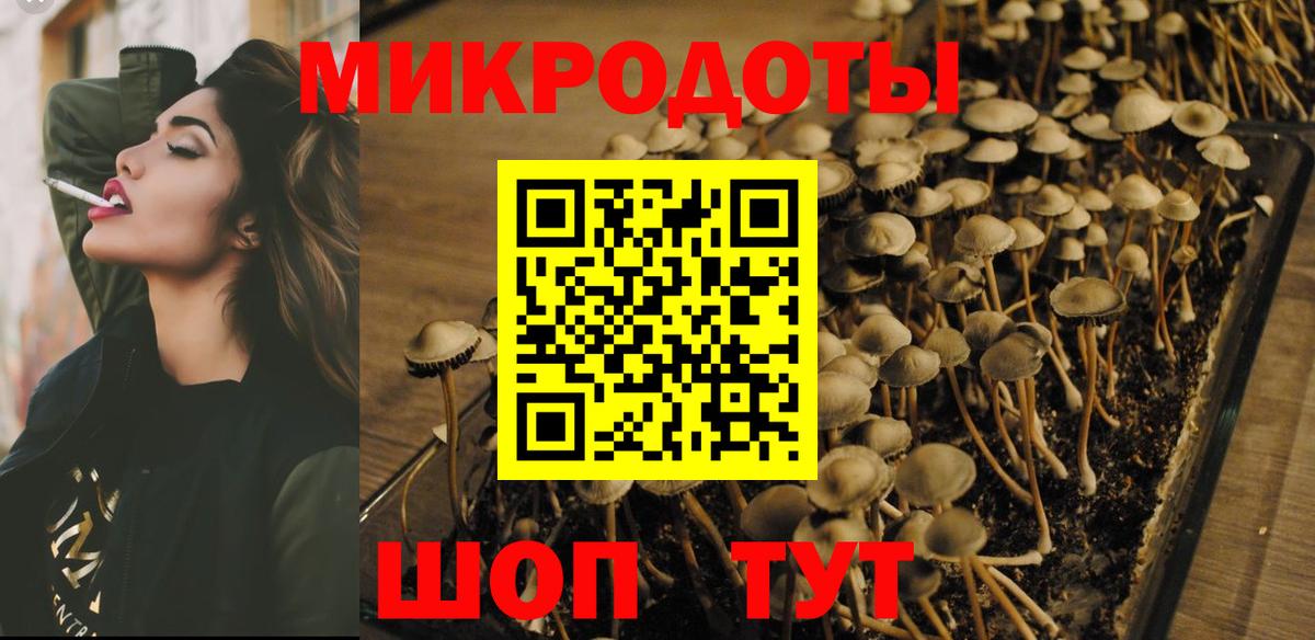 Приморско-Ахтарск  Псилоцибиновые грибы ЛСД  Вход с VPN 