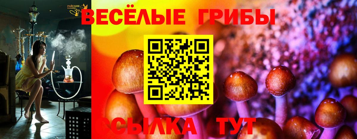 Псилоцибиновые грибы Cubensis Приморско-Ахтарск
